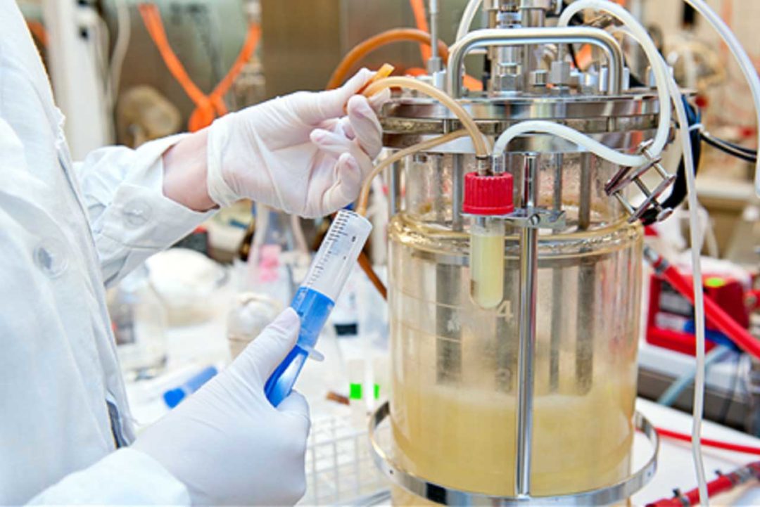 Laboratory Quality Control