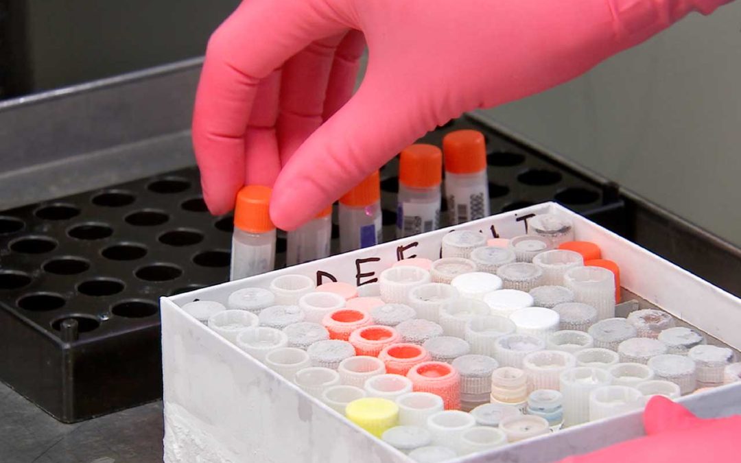 Evidence Lacking for Widespread Vitamin D